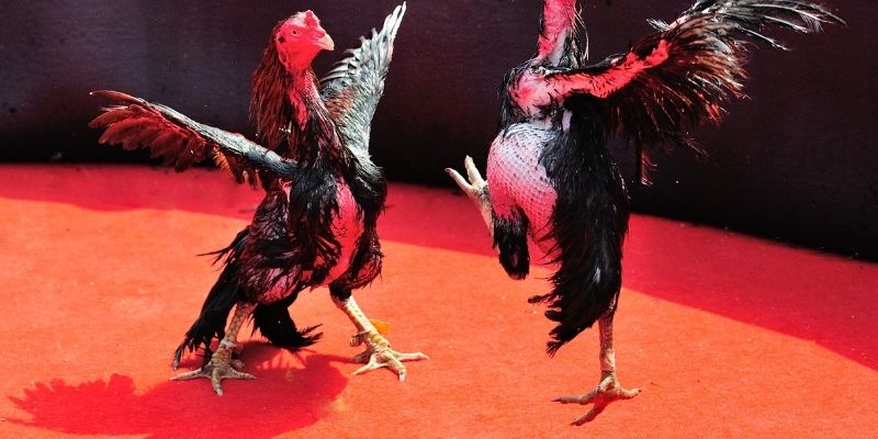 Không nên bỏ quên buổi tập nhẹ