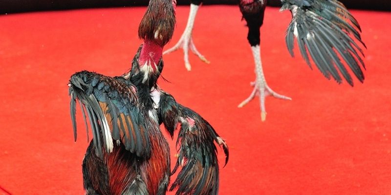 Một số nguyên tắc cần ghi nhớ khác